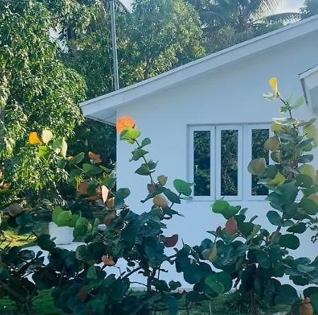 Hotel The Cay House Mangrove Cay Exterior foto